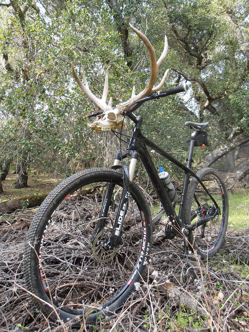 chinese carbon 29er