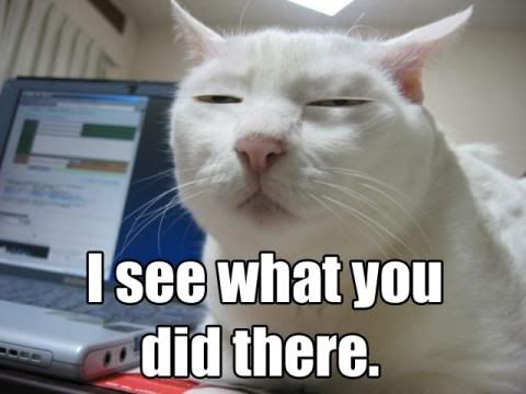 I_see_what_you_did_there_cat_RE_More_funnies_for_you_all-s480x360-106842-580.jpg