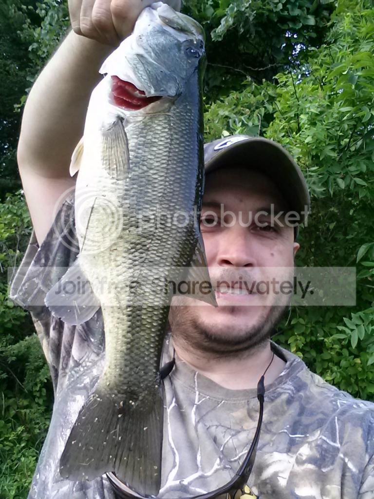 20140809_175802_zpscal2k4fd.jpg