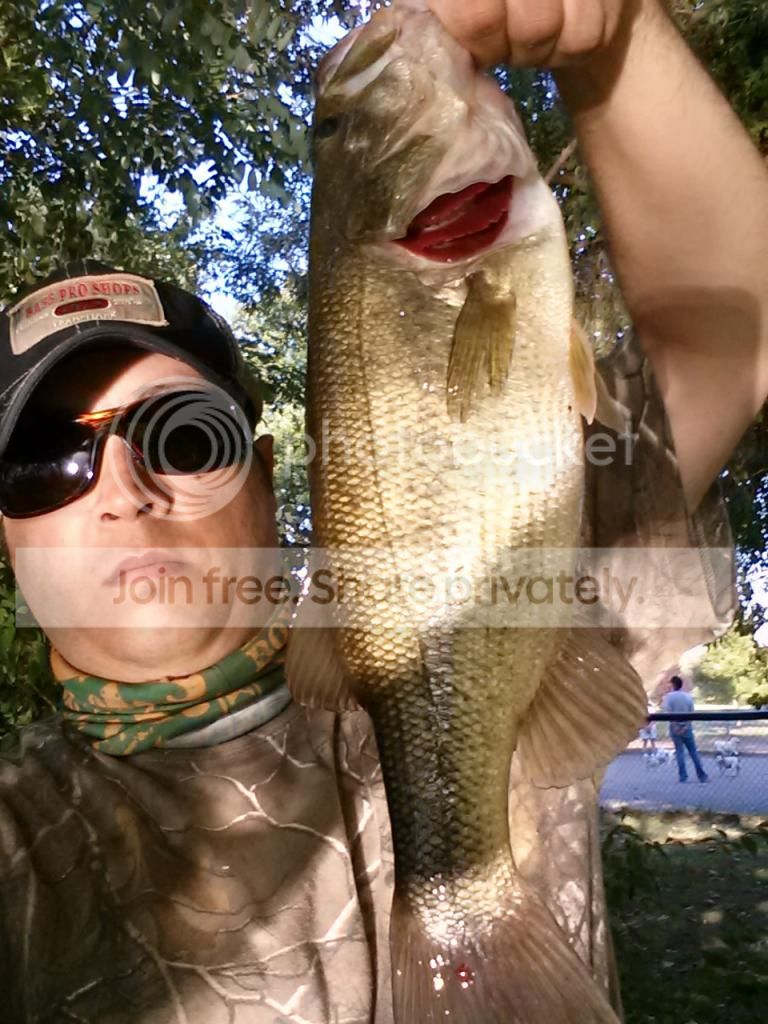 20140824_174633_zps7f8tr1md.jpg