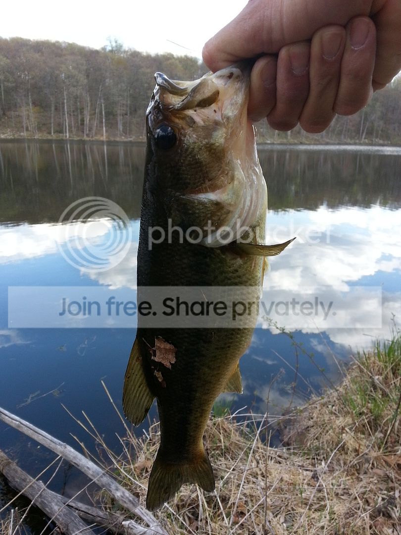 20150503_154418_zpsxmbyobjj.jpg
